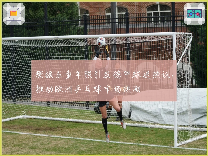 樊振东童年照引发德甲球迷热议，推动欧洲乒乓球市场热潮