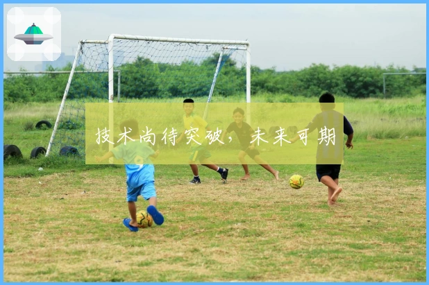 技术尚待突破，未来可期